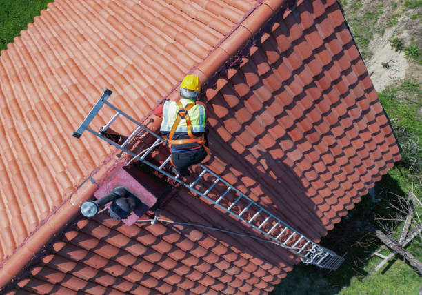 Best Roof Moss and Algae Removal  in Gang Mills, NY